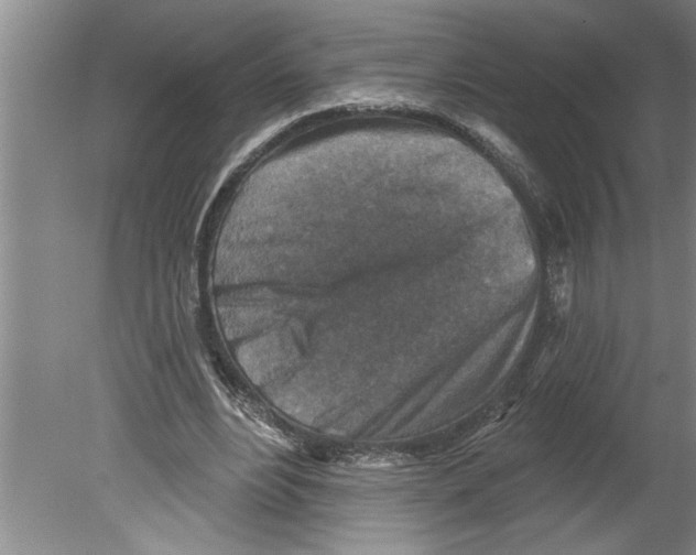 X0000079580488200612301410