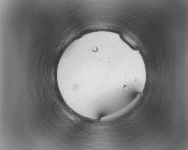 X0000079580489200612301410