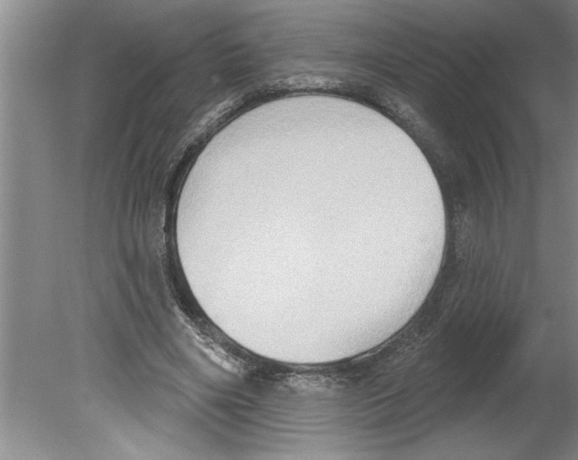 X0000079580490200612301410