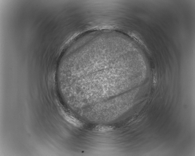 X0000079580491200612301410