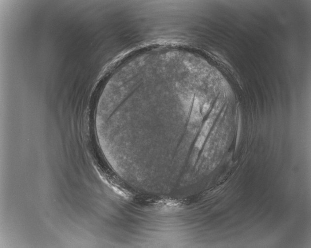 X0000079580492200612301410