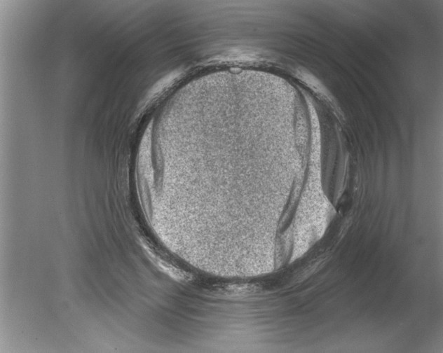 X0000079580493200612301410