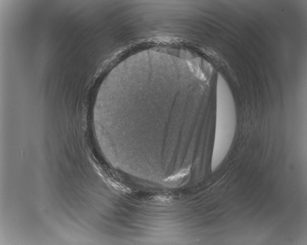 X0000079580496200612301410