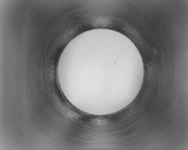 X0000079580498200612301410