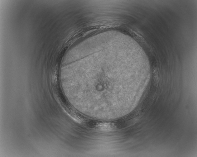 X0000079580499200612301410