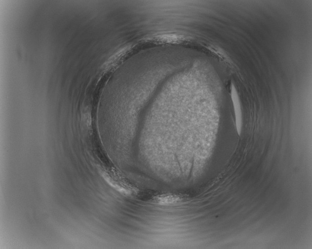 X0000079580500200612301410