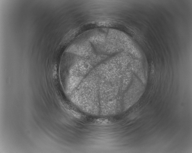 X0000079580502200612301410