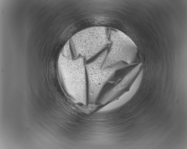 X0000079580506200612301410