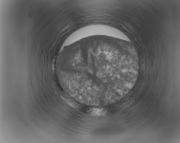 X0000079580507200612301410