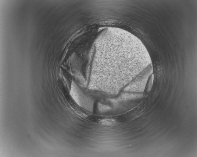 X0000079580508200612301410