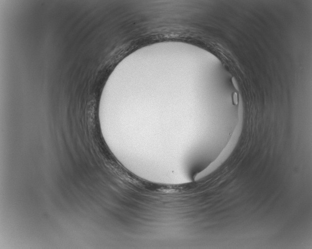 X0000079580509200612301410