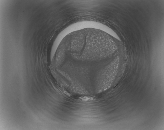 X0000079580512200612301410