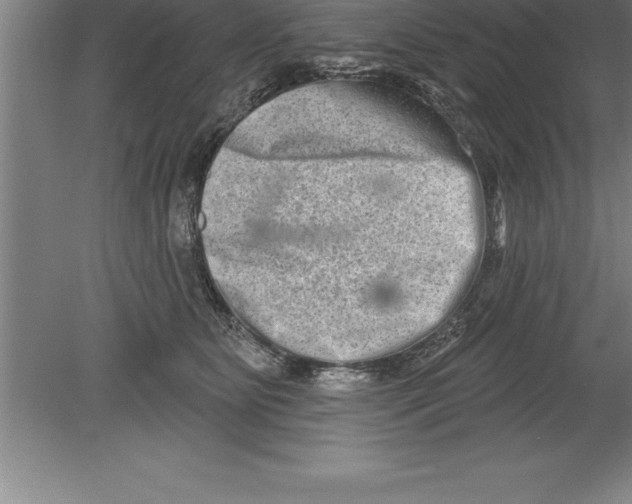 X0000079580515200612301410