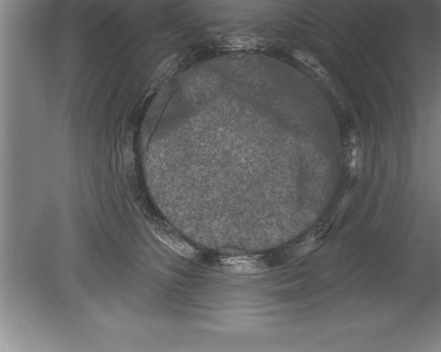 X0000079580516200612301410