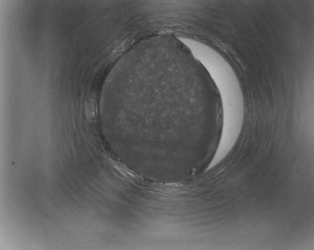 X0000079580517200612301410