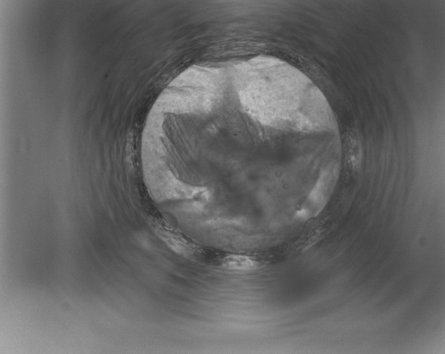 X0000079580519200612301410