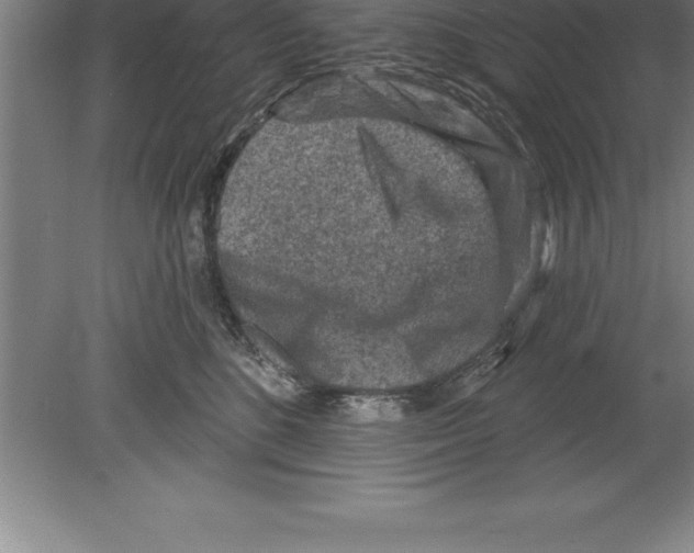 X0000079580520200612301410