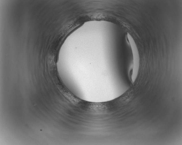 X0000079580521200612301410