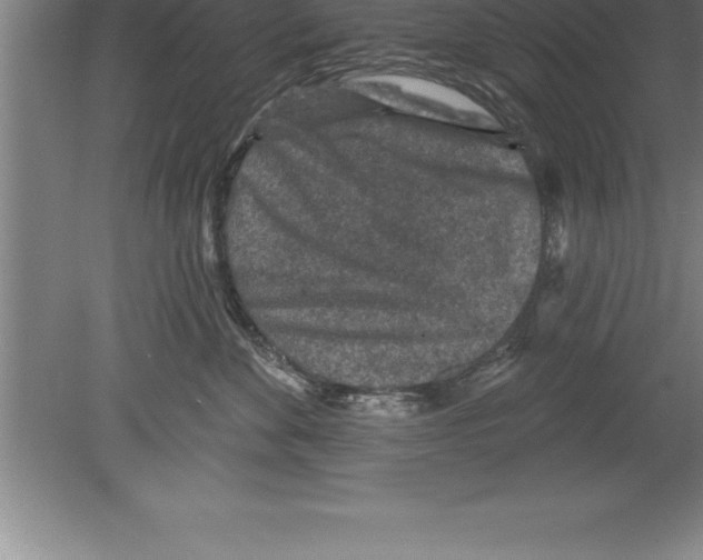 X0000079580524200612301410