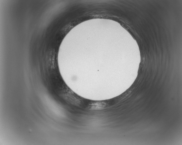 X0000079580525200612301410