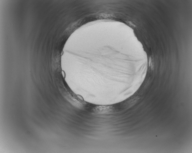 X0000079580526200612301410