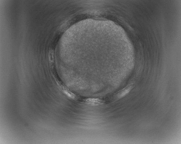 X0000079580528200612301410