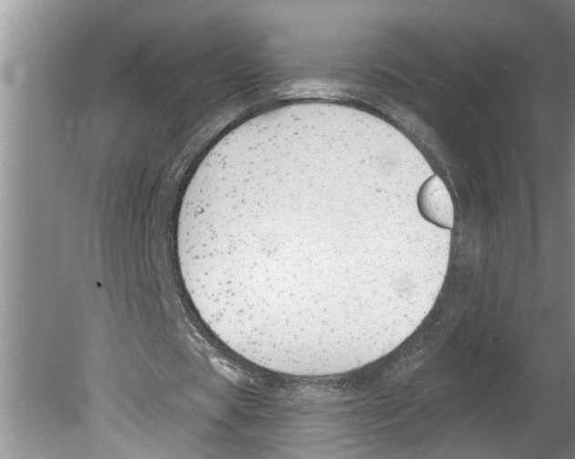 X0000079580529200612301409