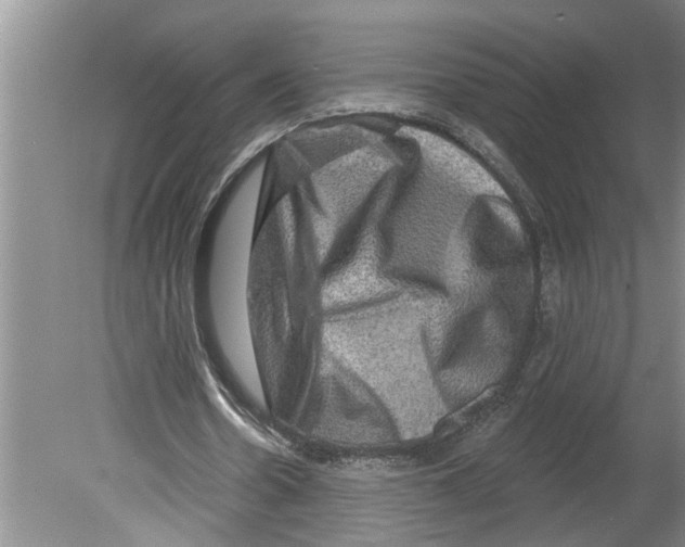 X0000079580530200612301409