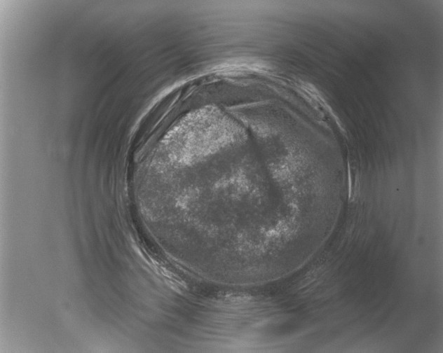 X0000079580531200612301409