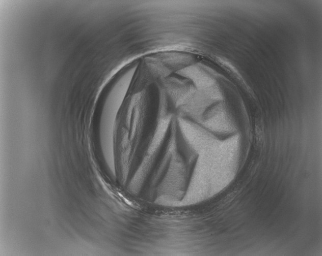 X0000079580532200612301409