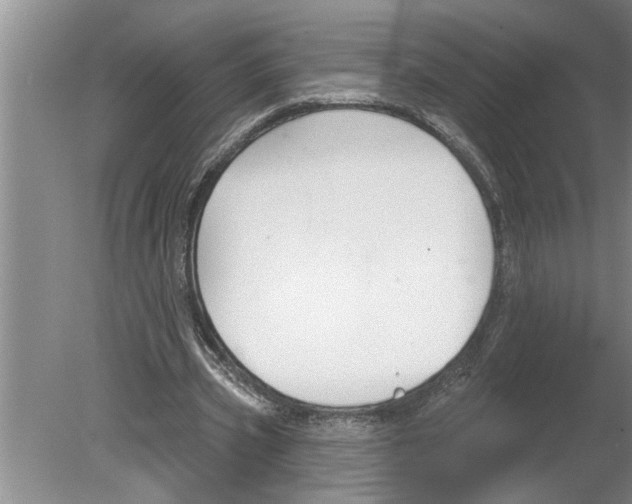 X0000079580533200612301409