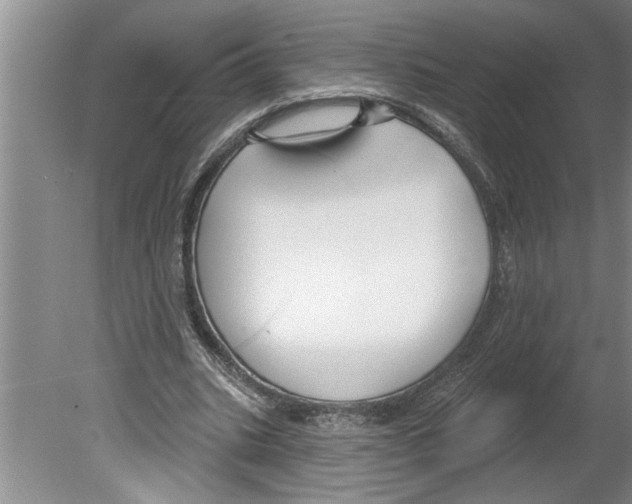 X0000079580535200612301409