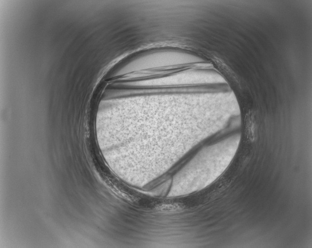 X0000079580536200612301409