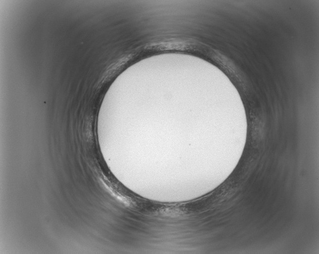 X0000079580537200612301409