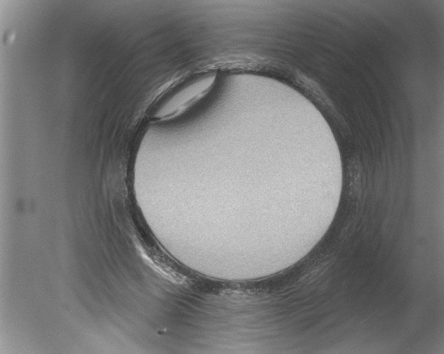 X0000079580538200612301409