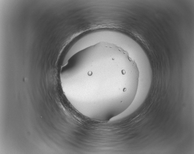 X0000079580540200612301409