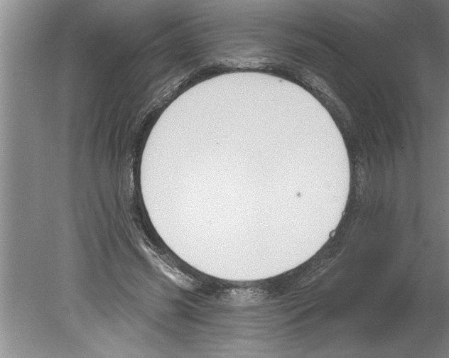 X0000079580541200612301409