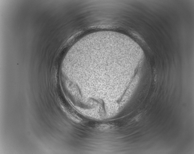 X0000079580542200612301409