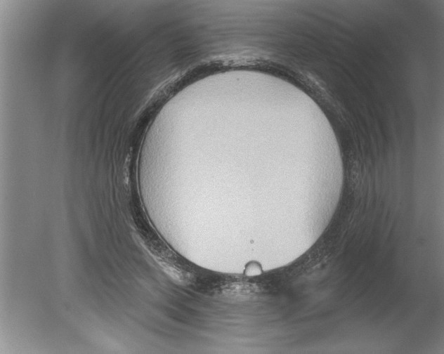 X0000079580543200612301409