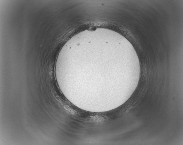 X0000079580545200612301409