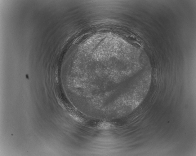 X0000079580547200612301409