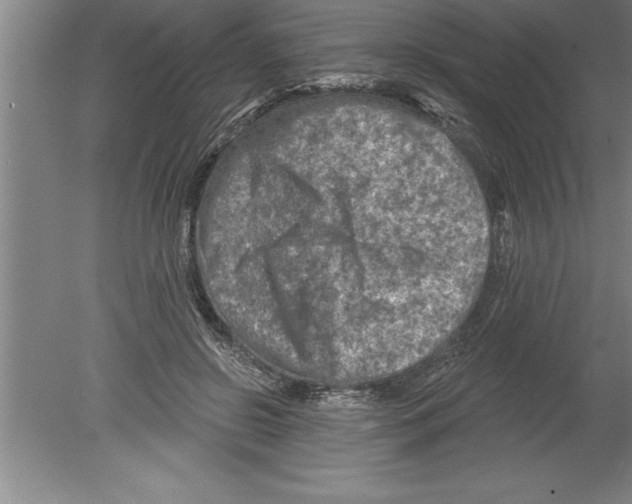 X0000079580550200612301409