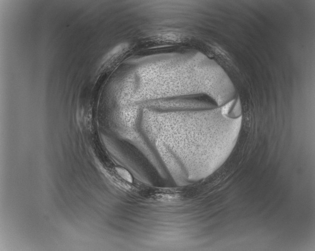 X0000079580552200612301409