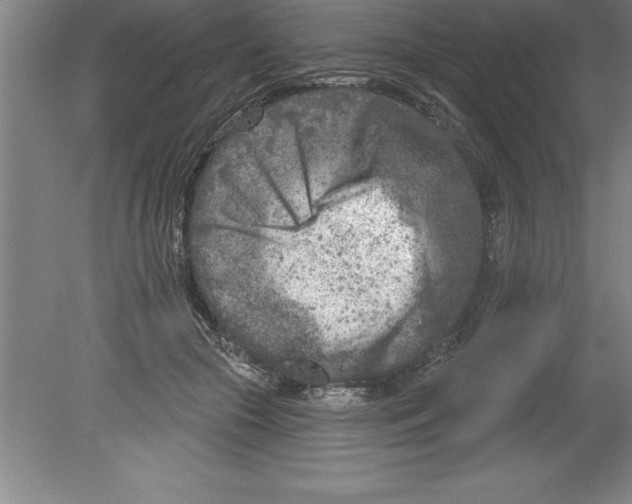 X0000079580553200612301409