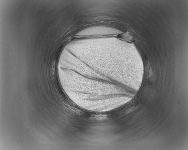 X0000079580554200612301409