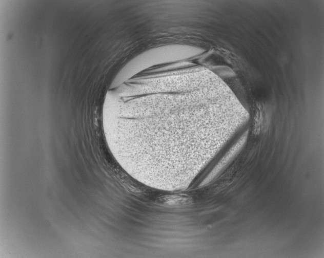 X0000079580555200612301409