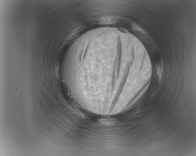 X0000079580556200612301409