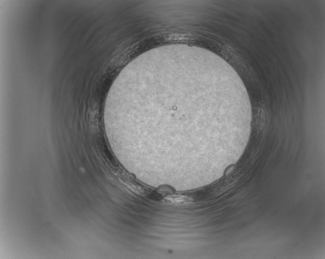 X0000079580557200612301409