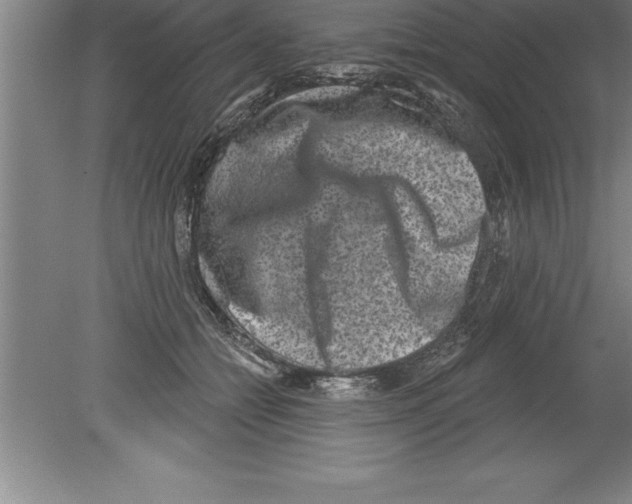 X0000079580558200612301409