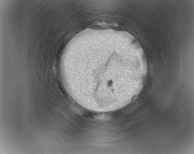 X0000079580561200612301409